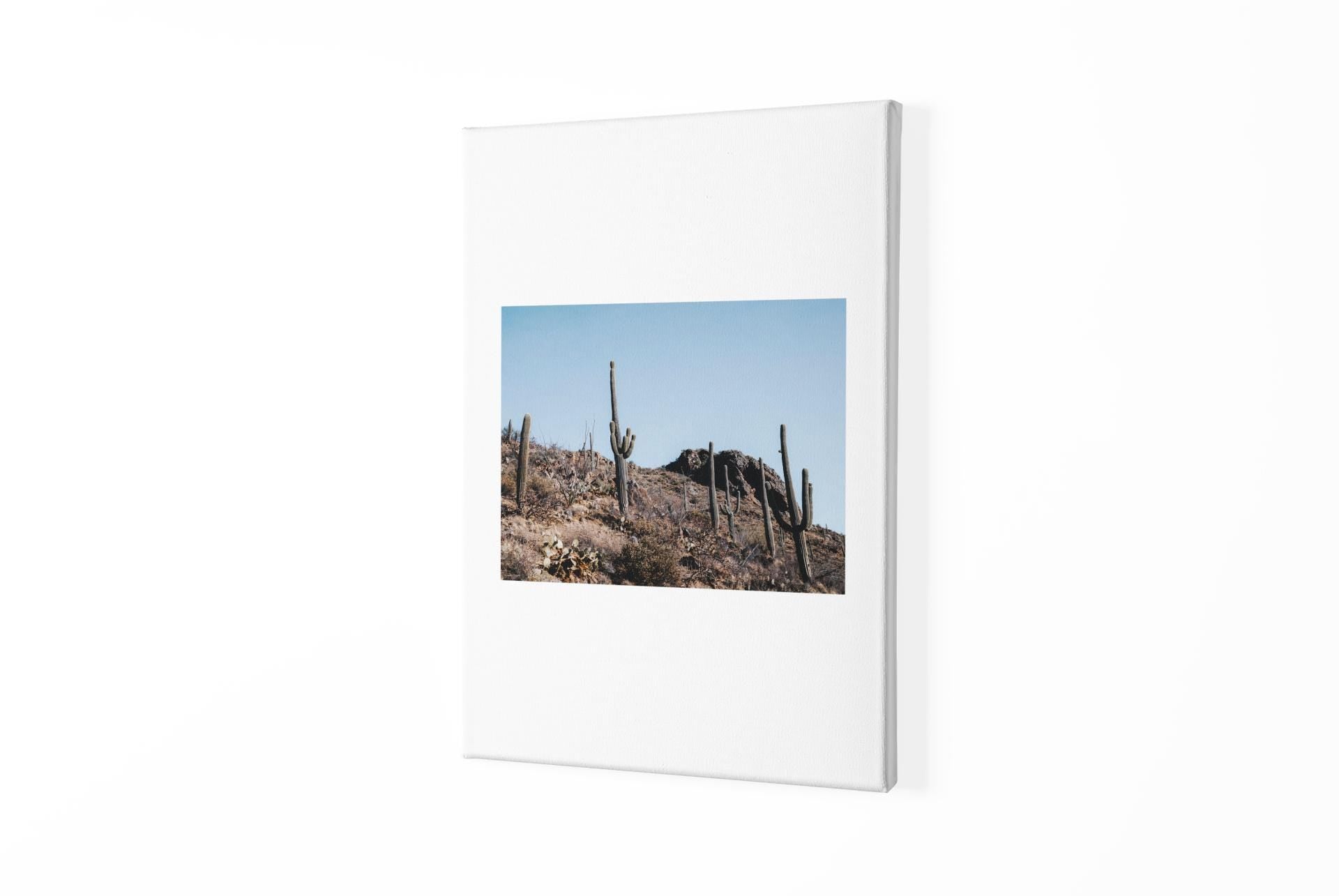 Saguaro Desert Landscape Graphic Tee | Classic Stretched Canvas Style T-Shirt | Southwest Sunset Nature Shirt - Toddcraft