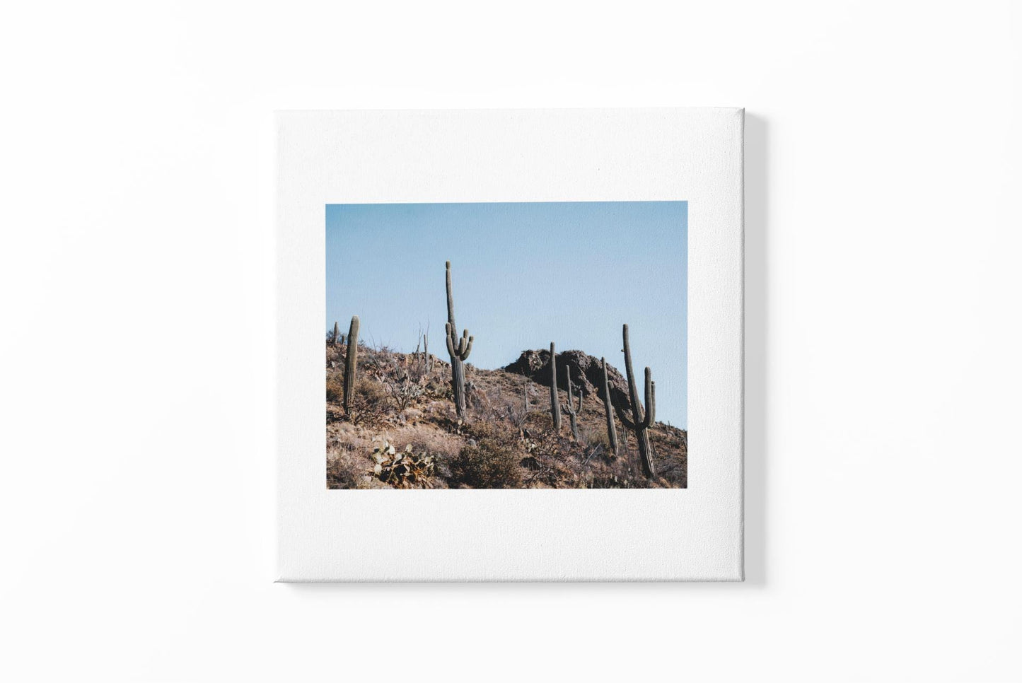 Saguaro Desert Landscape Graphic Tee | Classic Stretched Canvas Style T-Shirt | Southwest Sunset Nature Shirt - Toddcraft