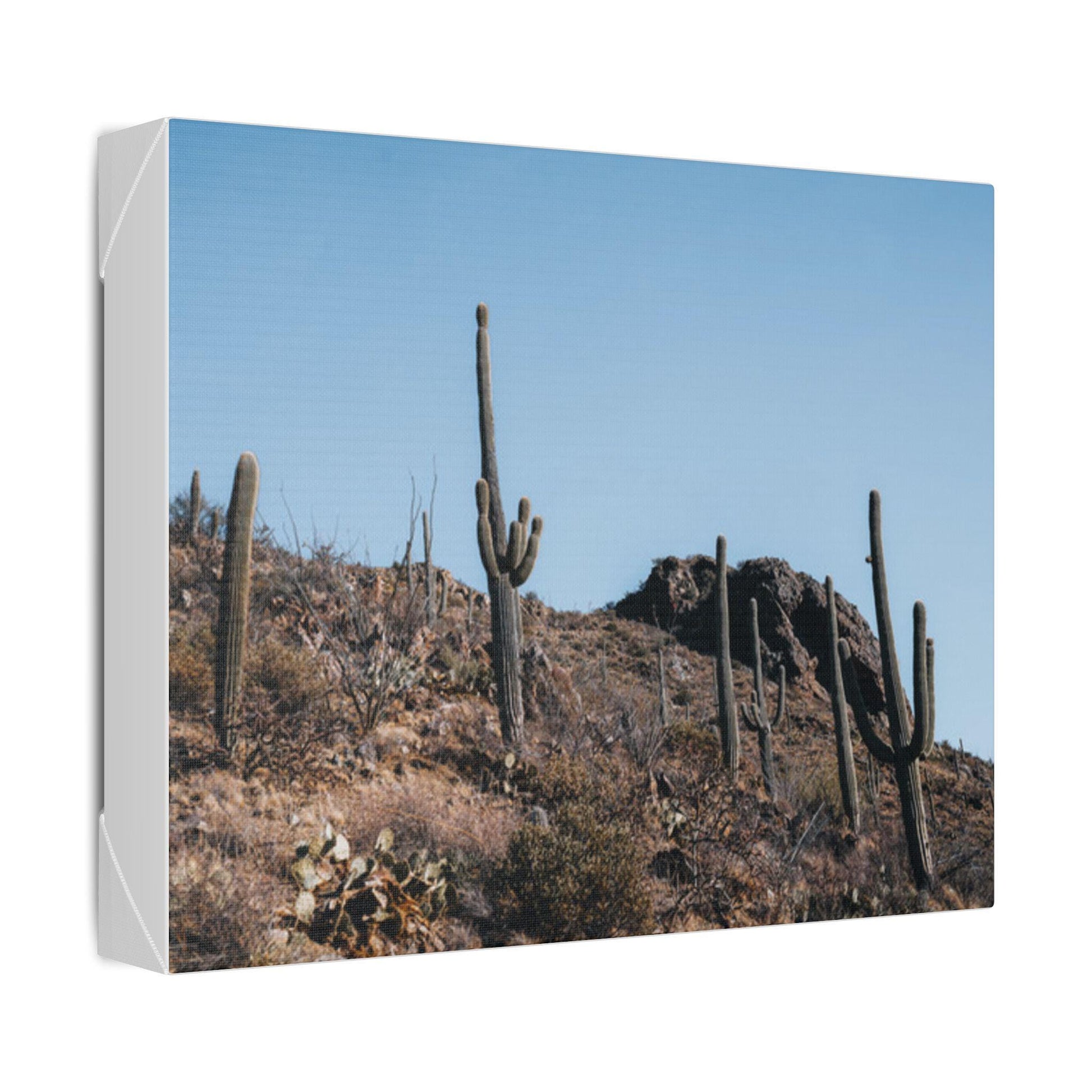 Saguaro Desert Landscape Graphic Tee | Classic Stretched Canvas Style T-Shirt | Southwest Sunset Nature Shirt - Toddcraft