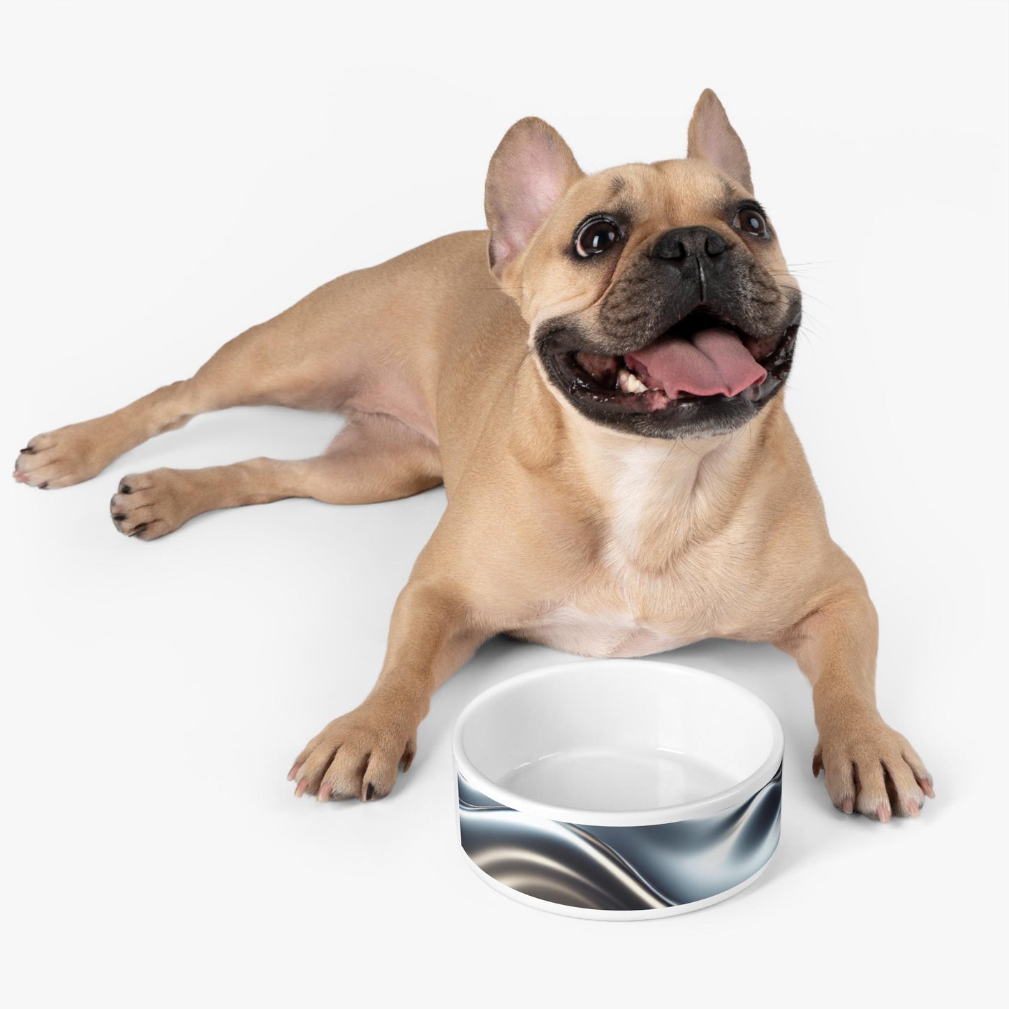 Sleek Ceramic Pet Bowl with Stainless Steel Finish  Modern, Durable, Non-Slip Dish for Dogs & Cats | Stylish Pet Feeding Bowl - Toddcraft