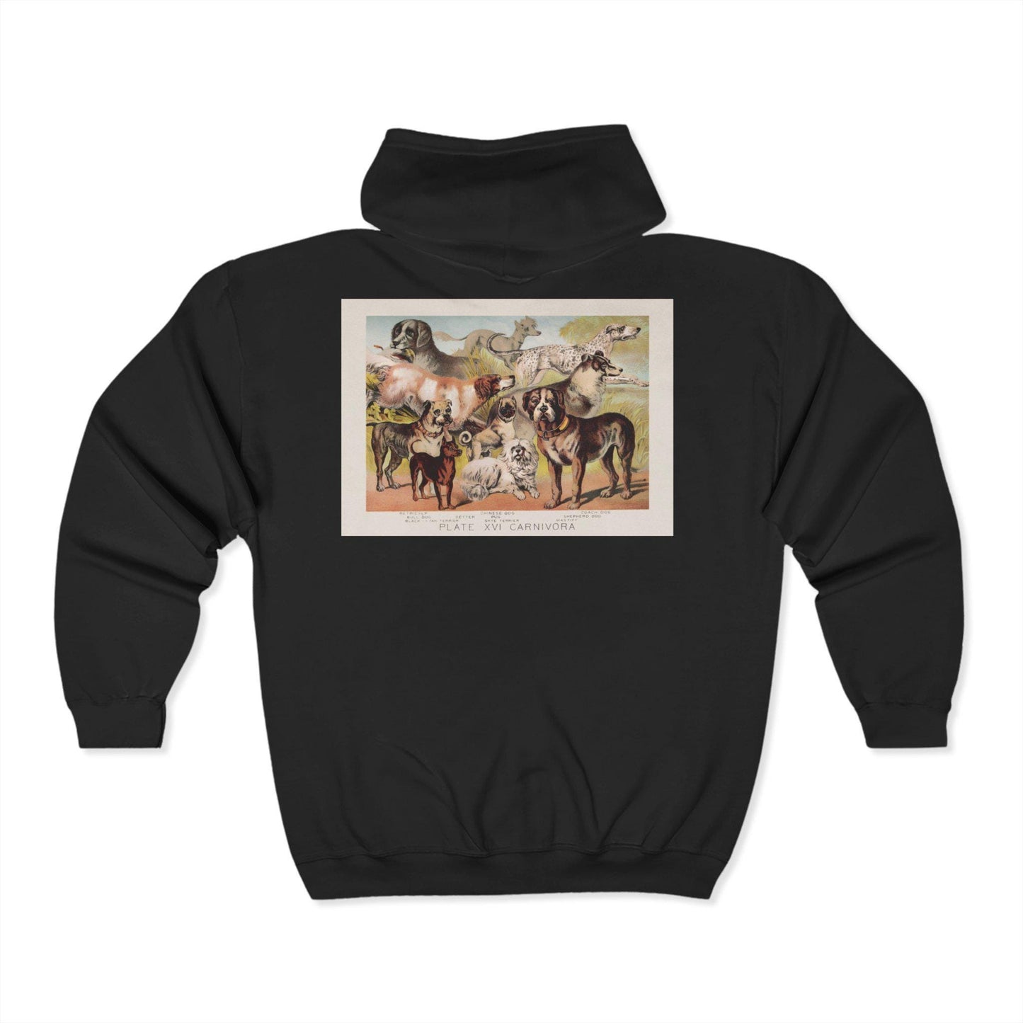 Artistic Animal Print Hoodie, Cozy Unisex Zip Sweatshirt, Perfect Gift for Art Lovers, Casual Wear, Unique Fashion Statement - Toddcraft