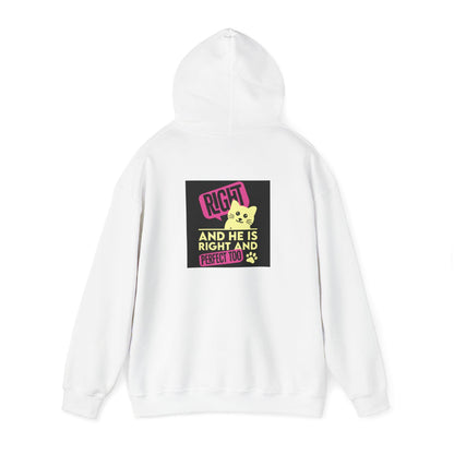 Cozy Unisex Cat Lover Hoodie: Cute & Funny Sweatshirt for Animal Enthusiasts - Toddcraft