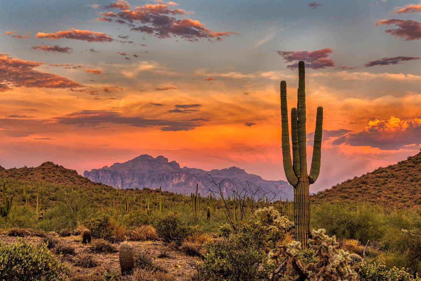 Matte Stretched Canvas: Arizona Scenic Landscape Fine Art Print - Multi-Size Options