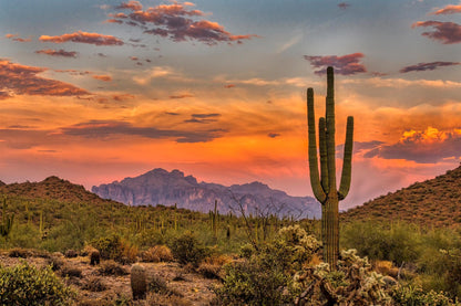 Matte Stretched Canvas: Arizona Scenic Landscape Fine Art Print - Multi-Size Options