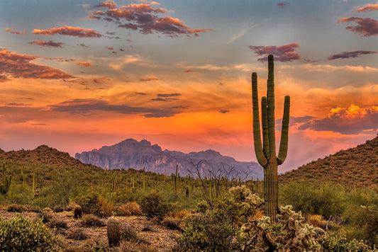 Matte Stretched Canvas: Arizona Scenic Landscape Fine Art Print - Multi-Size Options