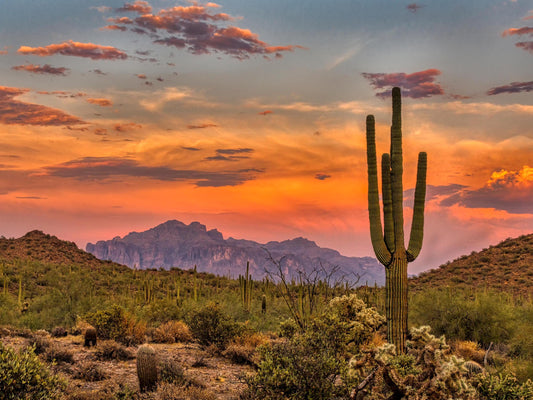 Matte Stretched Canvas: Arizona Scenic Landscape Fine Art Print - Multi-Size Options