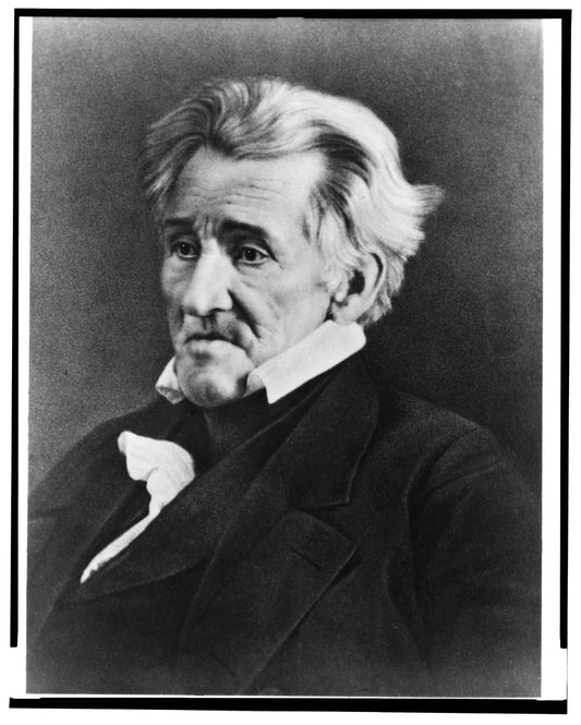 Andrew Jackson: 7th US President Portrait, Historical Figure, Old Hickory Biography Art Print - Toddcraft