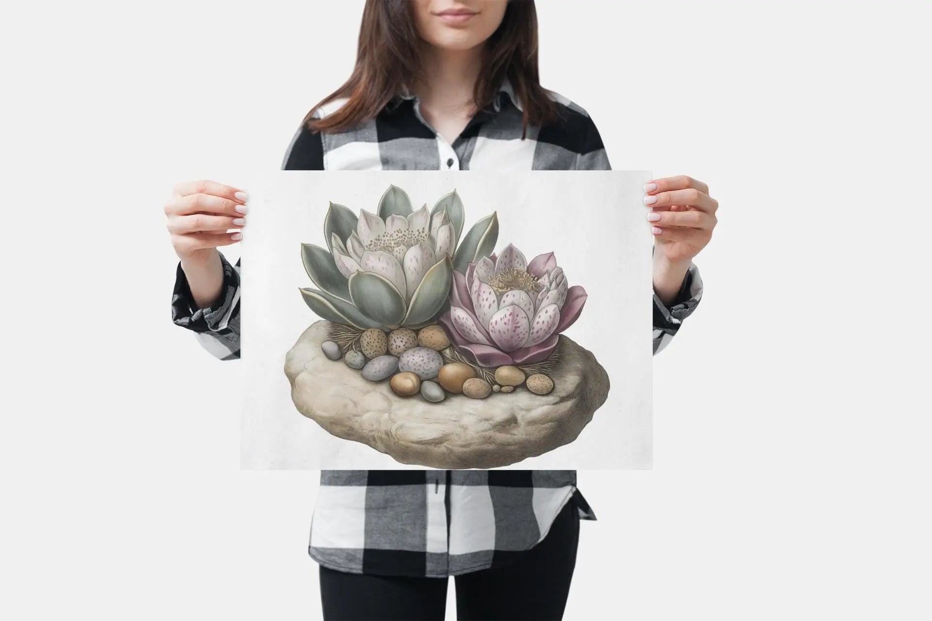 Succulent Wall Art  Echeveria Rosette Botanical Print with Pebble Detail, Fine Art Poster for Home Decor - Toddcraft