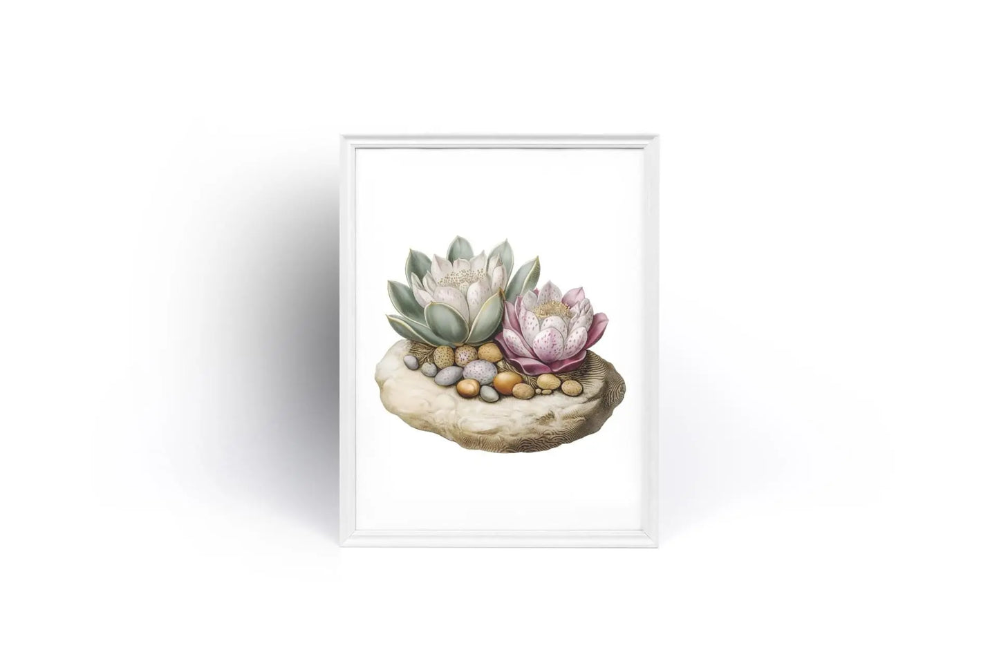 Succulent Wall Art  Echeveria Rosette Botanical Print with Pebble Detail, Fine Art Poster for Home Decor - Toddcraft