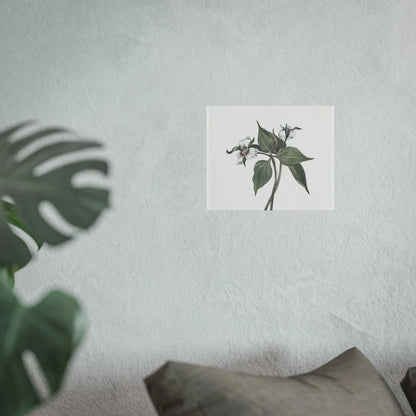 Botanical Wall Art Fine Art Posters Floral Design, Nature-Inspired Home Decor, Flower Print for Living Room & Bedroom - Toddcraft