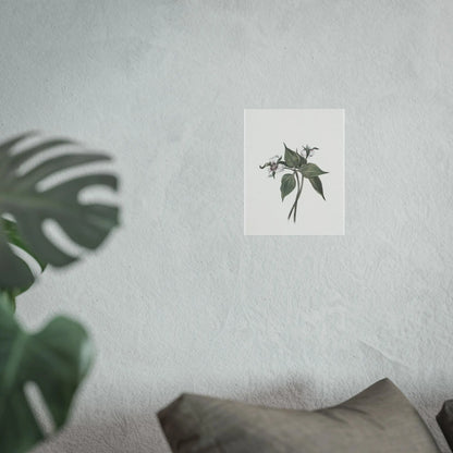 Botanical Wall Art Fine Art Posters Floral Design, Nature-Inspired Home Decor, Flower Print for Living Room & Bedroom - Toddcraft