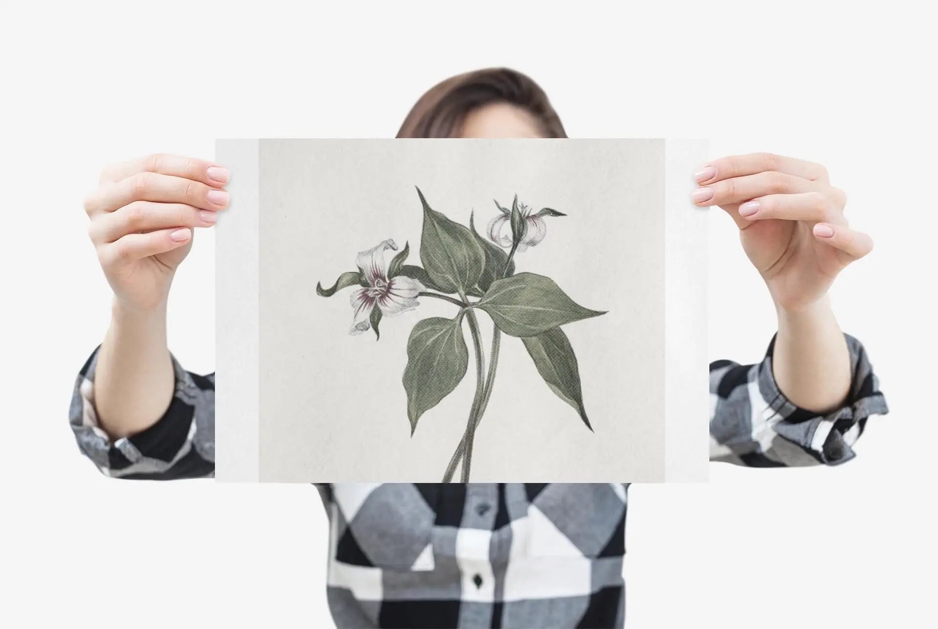 Botanical Wall Art Fine Art Posters Floral Design, Nature-Inspired Home Decor, Flower Print for Living Room & Bedroom - Toddcraft