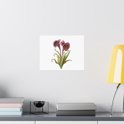 Carnivorous Pitcher Plant Botanical Print - Sarraceniaceae Nature Wall Art, Satin Poster 210gsm, Greenery Home Décor - Toddcraft