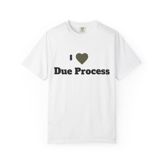I Love Due Process T-Shirt Unisex Garment-Dyed Legal Shirt Gift for Lawyers & Legal Enthusiasts Law Tee - Toddcraft