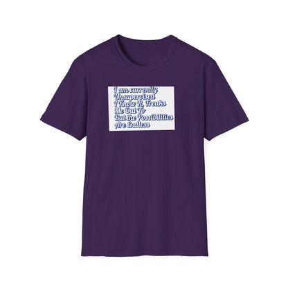 Men's Funny "I Am Currently Unsupervised" T-Shirt  Hilarious Gift for Him, Birthday Shirt, Unisex Softstyle Tee - Toddcraft
