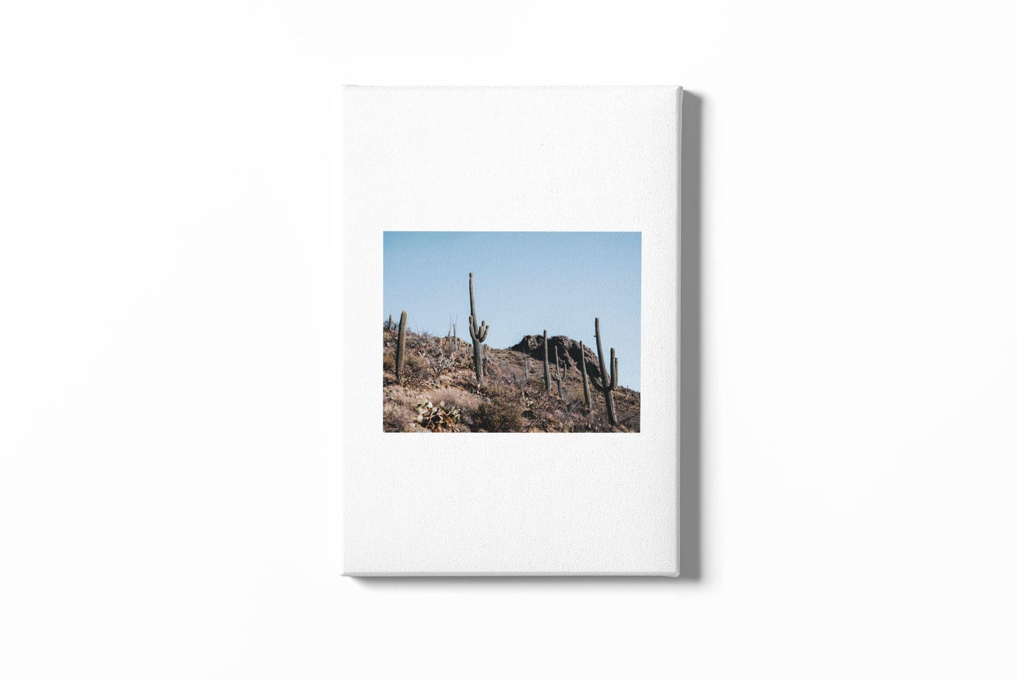 Saguaro Desert Landscape Graphic Tee | Classic Stretched Canvas Style T-Shirt | Southwest Sunset Nature Shirt