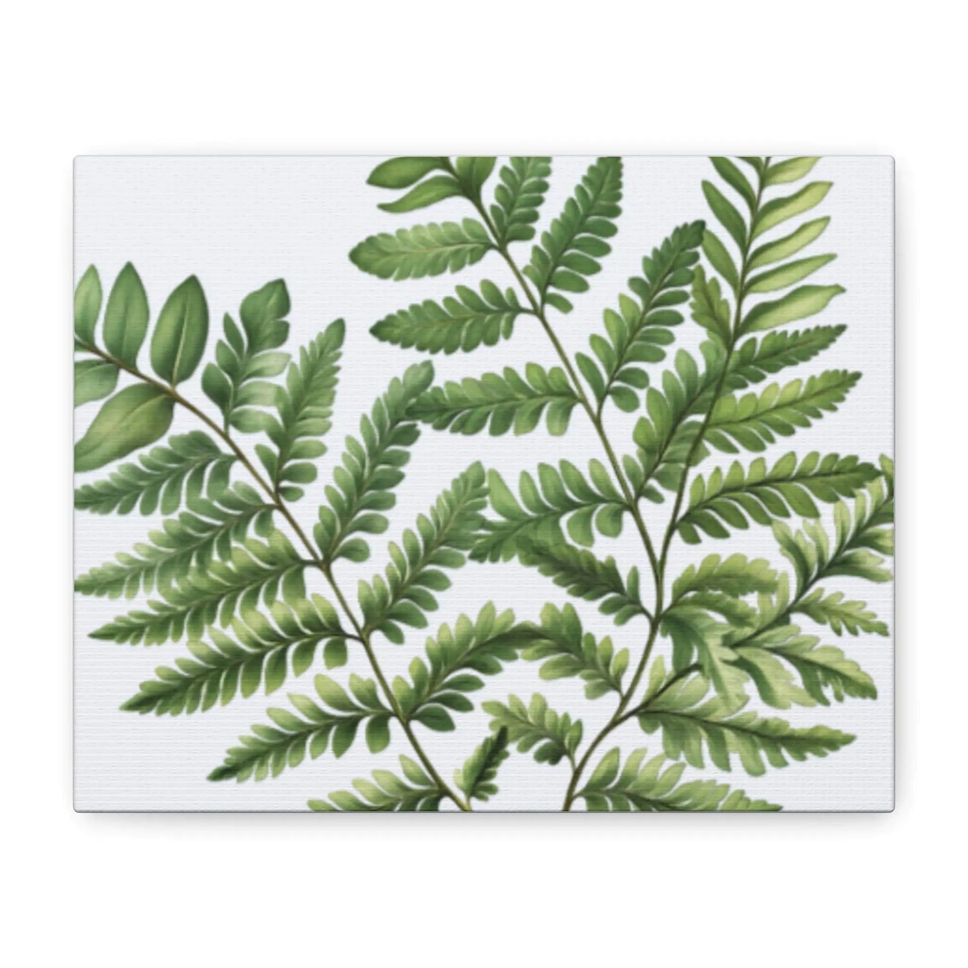 Botanical Nature Wall Art Print  Matte Canvas Stretched 1.25" Frame  Modern Greenery Décor for Living Room, Bedroom & Office - Toddcraft