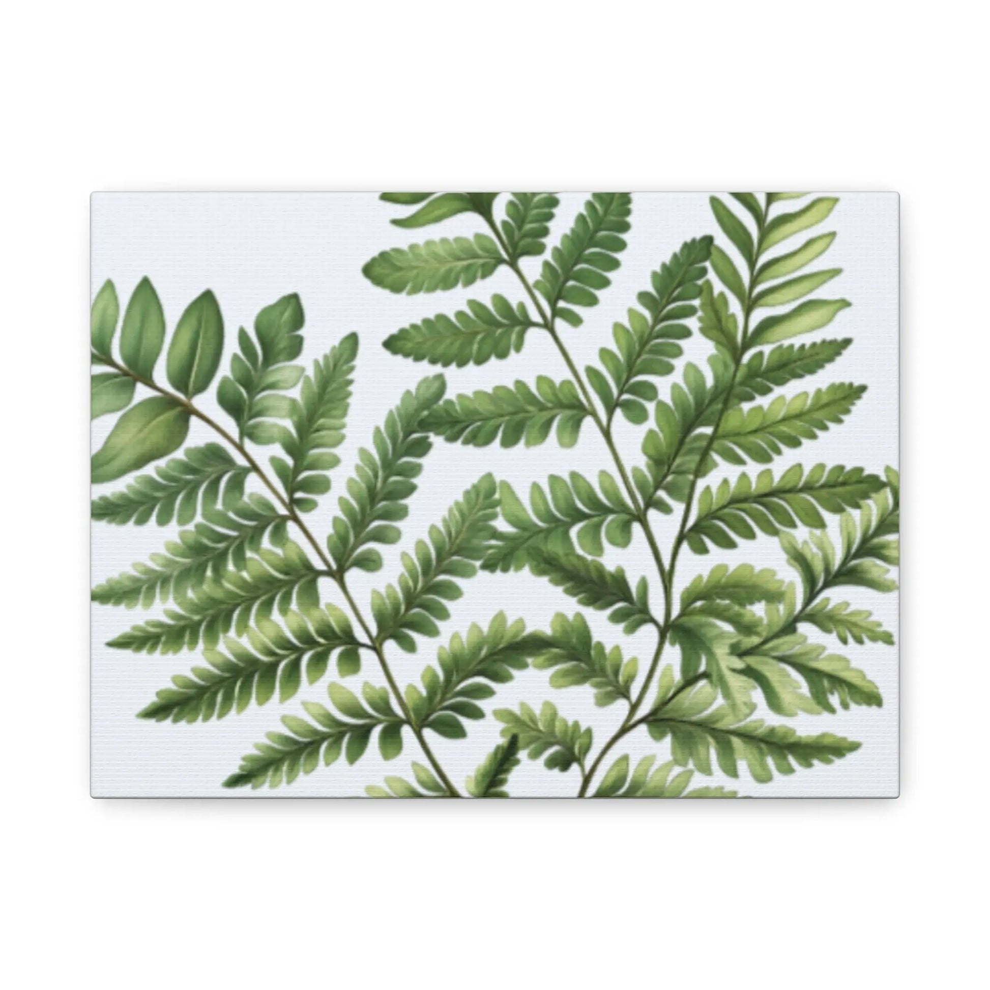 Botanical Nature Wall Art Print  Matte Canvas Stretched 1.25" Frame  Modern Greenery Décor for Living Room, Bedroom & Office - Toddcraft