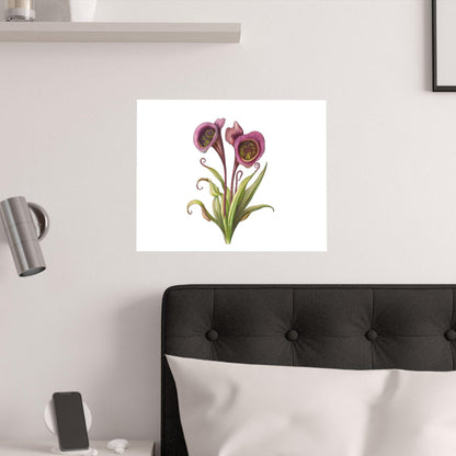 Carnivorous Pitcher Plant Botanical Print - Sarraceniaceae Nature Wall Art, Satin Poster 210gsm, Greenery Home Décor - Toddcraft