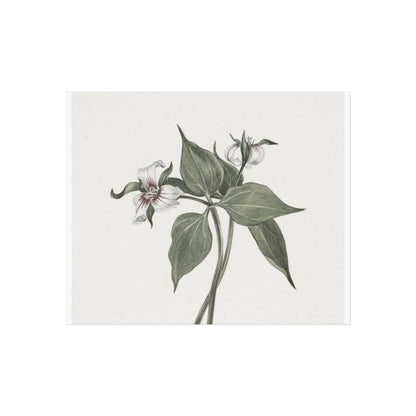 Botanical Wall Art Fine Art Posters Floral Design, Nature-Inspired Home Decor, Flower Print for Living Room & Bedroom - Toddcraft