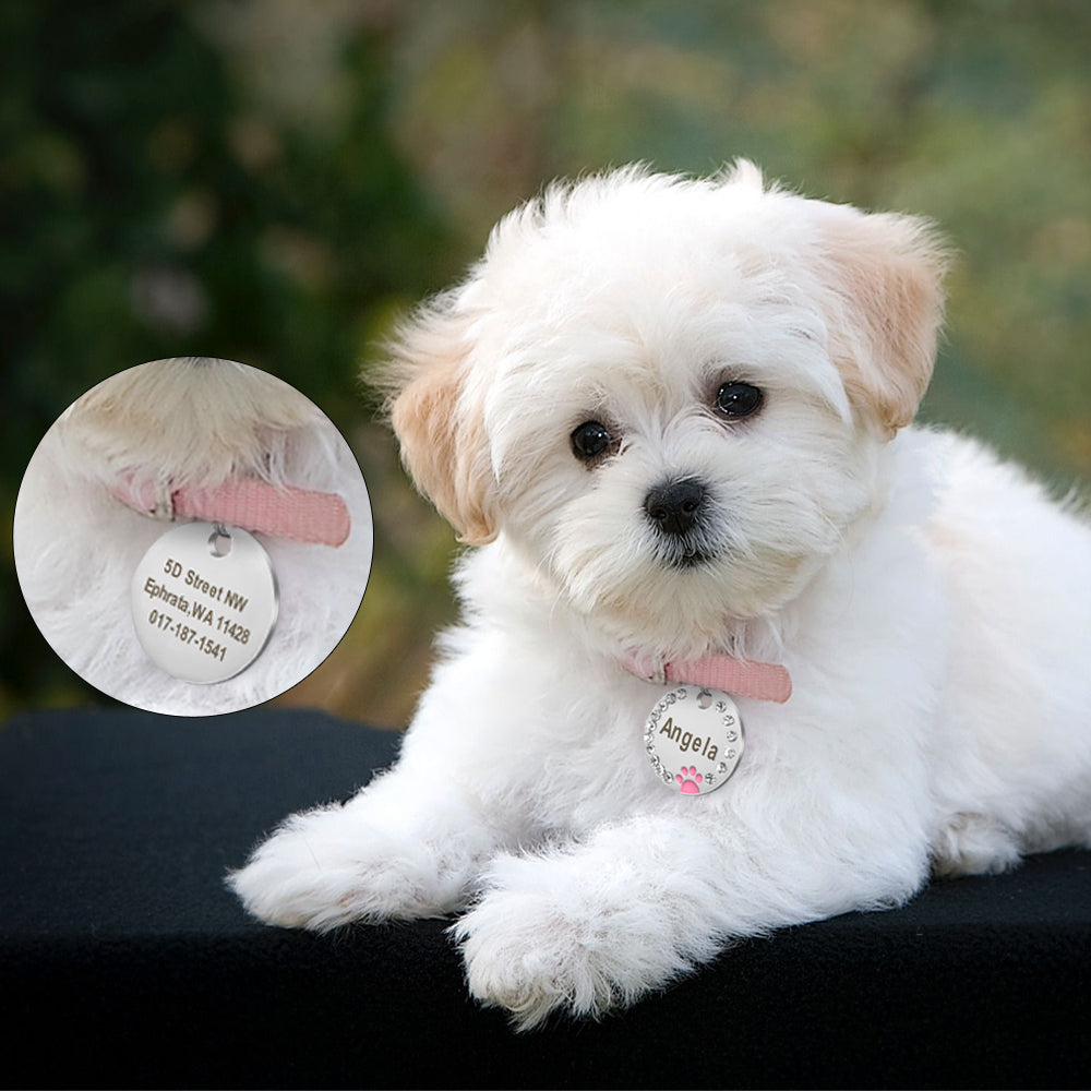 Dog ID Tag Customized Engraved - Crystal Metal Pet Tags - Toddcraft