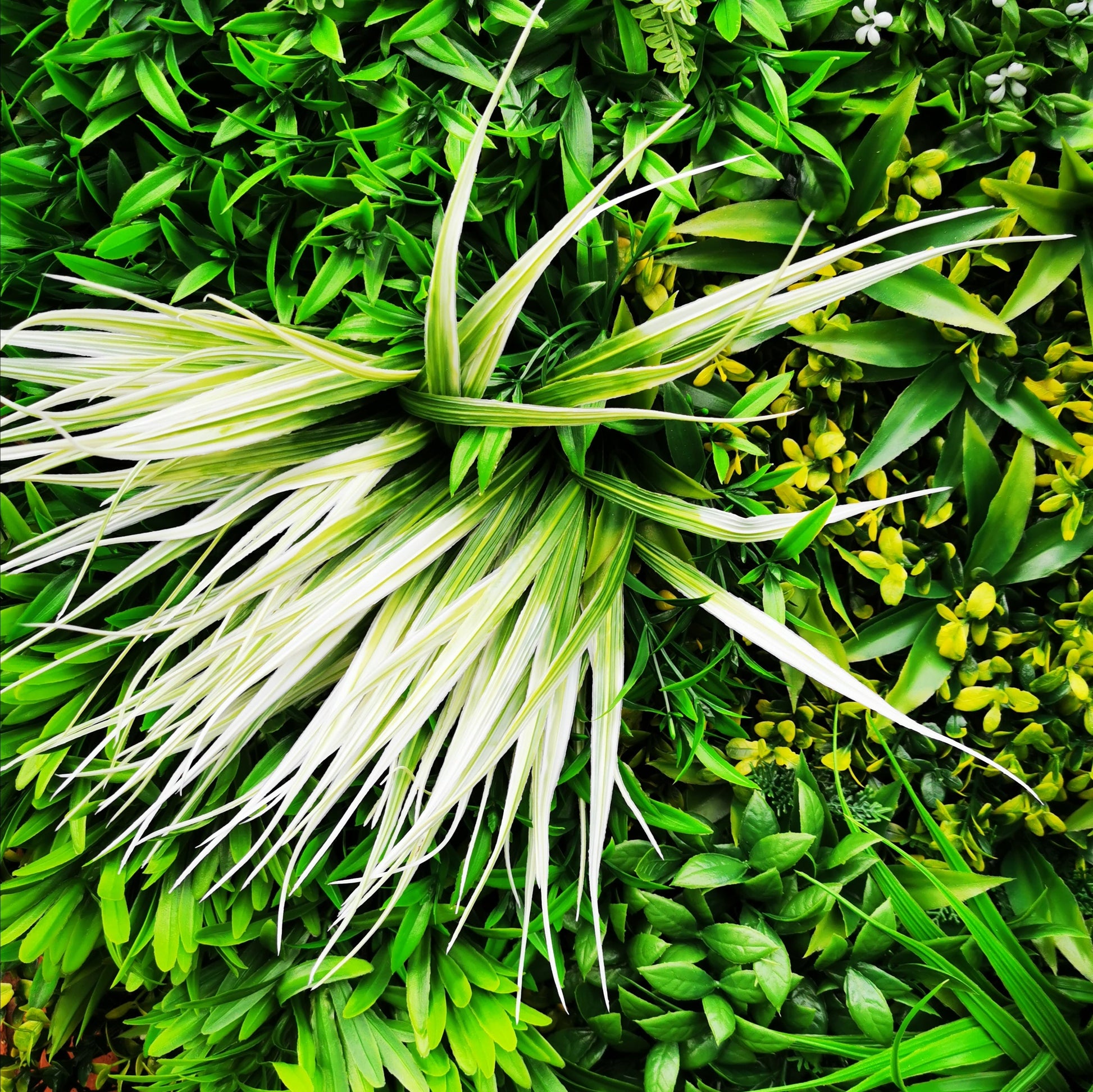 Artificial Green Wall Panel - 100x100cm Deluxe Hedge - Toddcraft