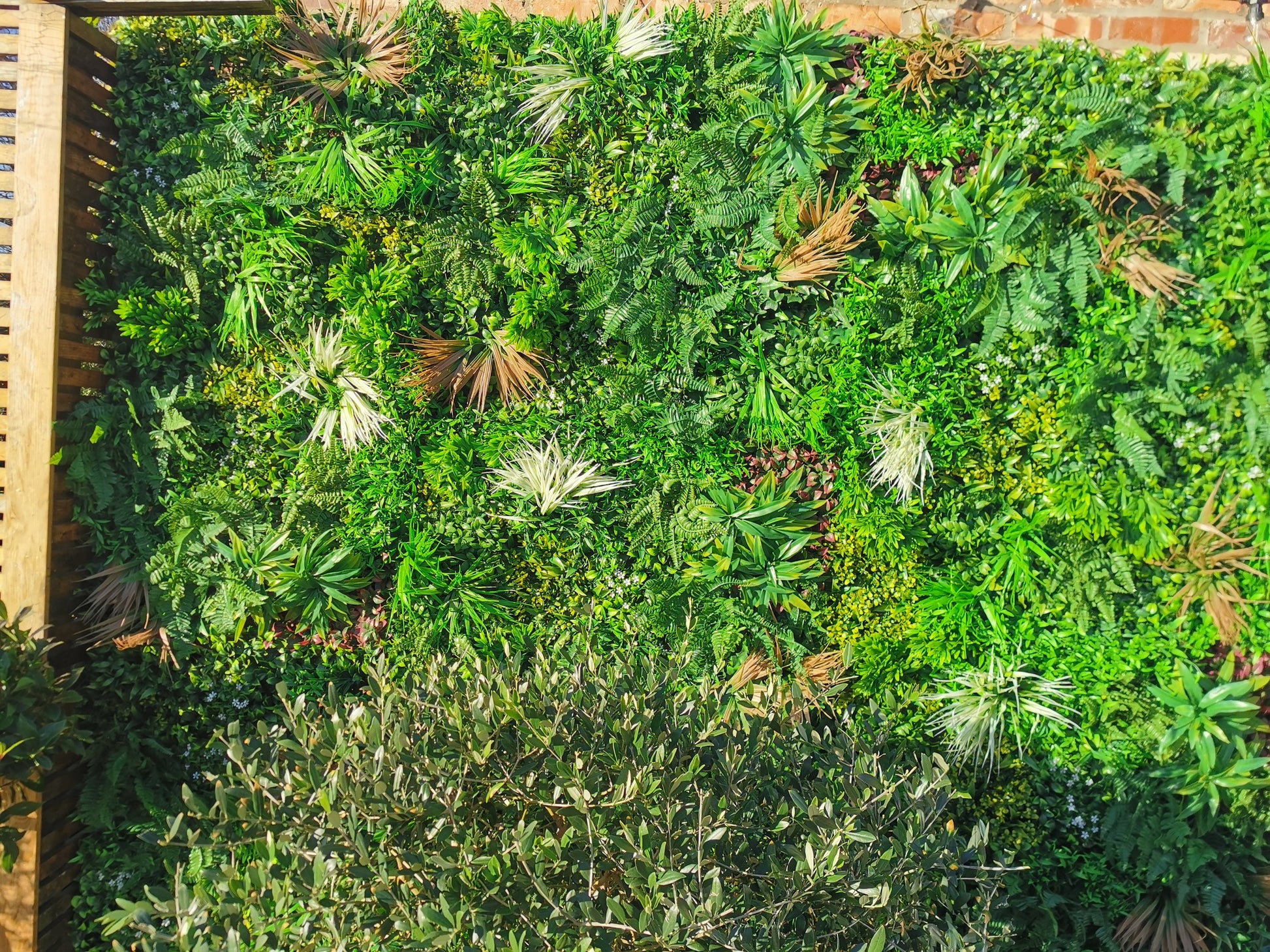 Artificial Green Wall Panel - 100x100cm Deluxe Hedge - Toddcraft