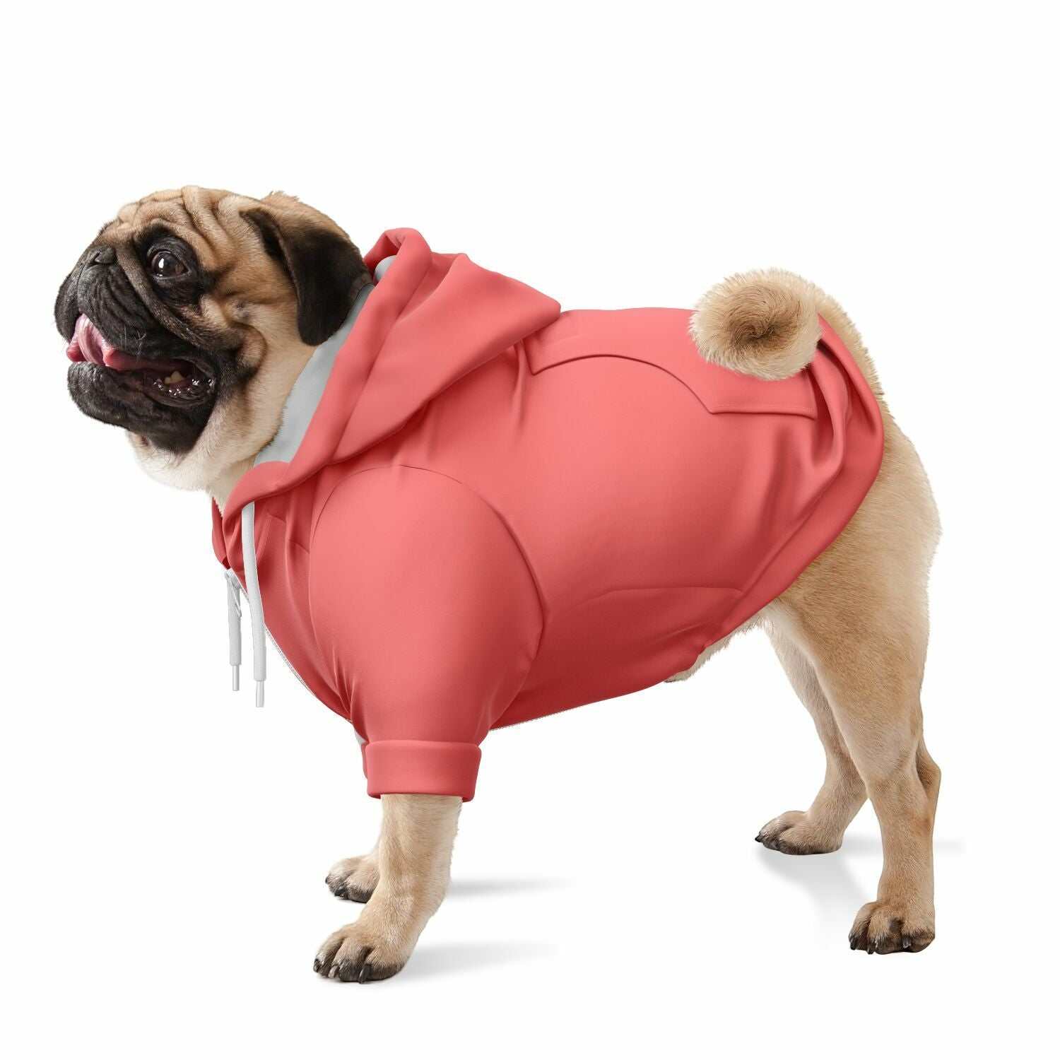 Colorful zip-up dog hoodie on a pug, showcasing vibrant streetwear style.