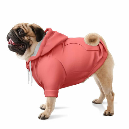 Colorful zip-up dog hoodie on a pug, showcasing vibrant streetwear style.