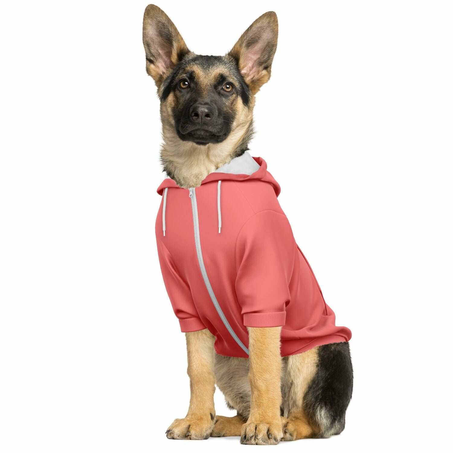 Colorful zip-up dog hoodie on a sitting dog, showcasing playful streetwear style.
