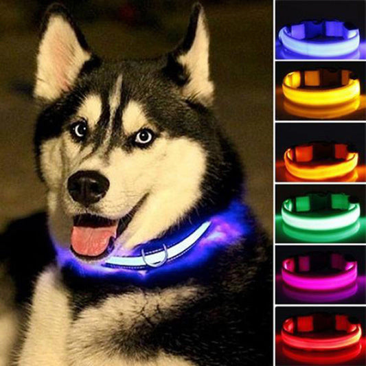 2 PCS Set Nylon LED Dog Collar - Toddcraft