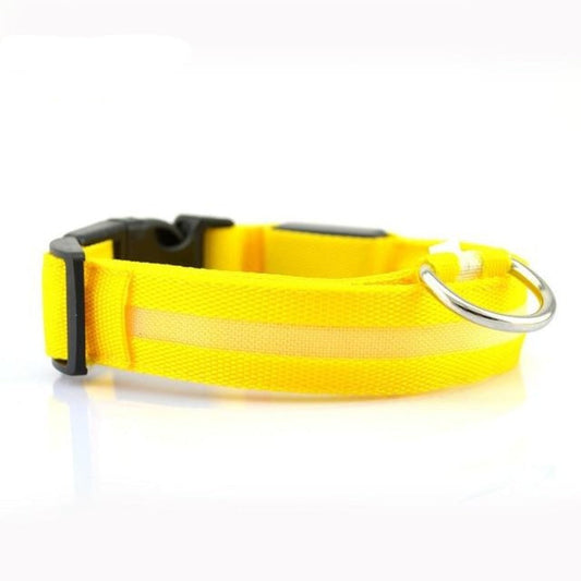 2 PCS Set Nylon LED Dog Collar - Toddcraft