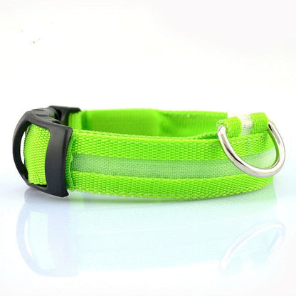 2 PCS Set Nylon LED Dog Collar - Toddcraft